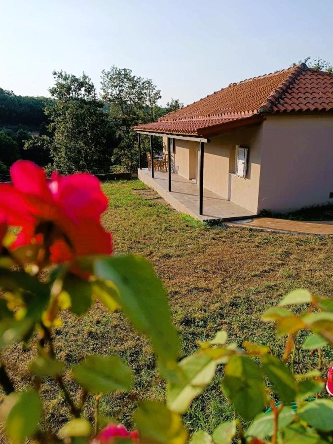 Willa Billy'S House Kalambaka Zewnętrze zdjęcie