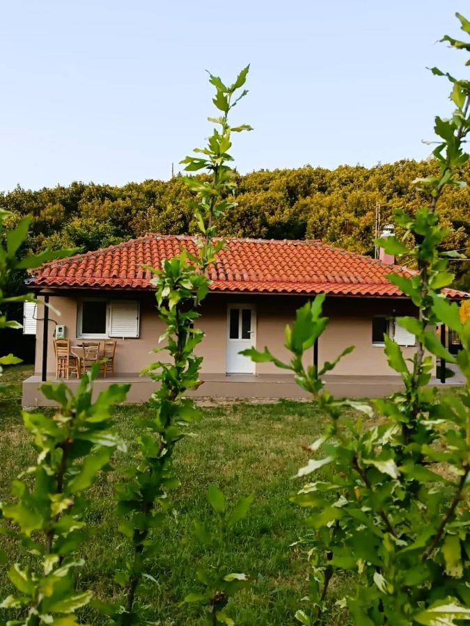 Willa Billy'S House Kalambaka Zewnętrze zdjęcie