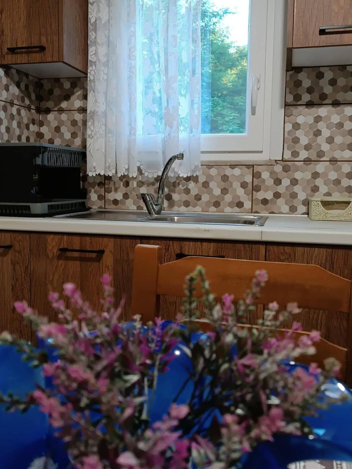 Willa Billy'S House Kalambaka Zewnętrze zdjęcie